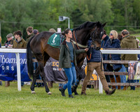 Race 2 - Maiden (17 of 118)