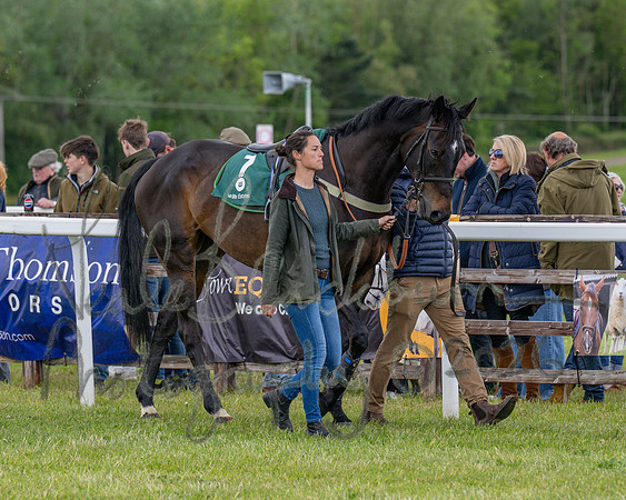 Race 2 - Maiden (17 of 118)