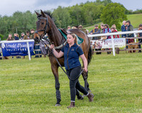 Race 2 - Maiden (19 of 118)