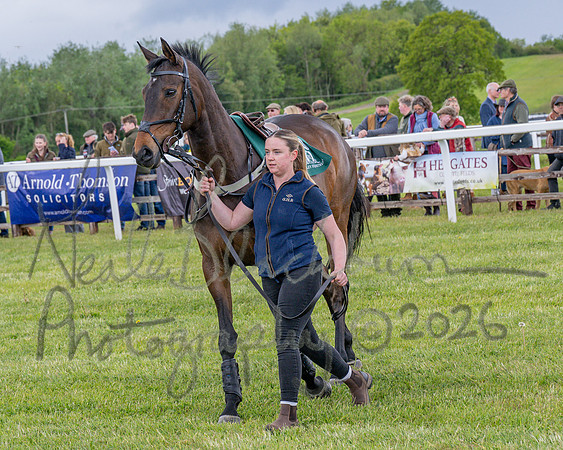 Race 2 - Maiden (19 of 118)