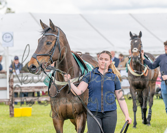 Race 2 - Maiden (23 of 118)