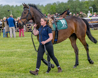 Race 2 - Maiden (20 of 118)