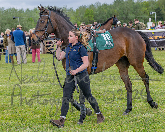 Race 2 - Maiden (20 of 118)