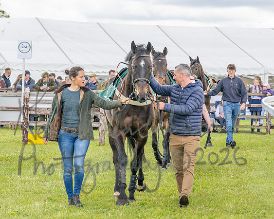 Race 2 - Maiden (22 of 118)