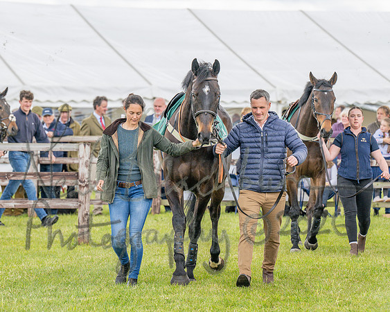 Race 2 - Maiden (21 of 118)