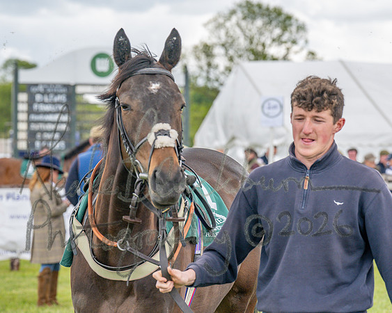 Race 2 - Maiden (26 of 118)