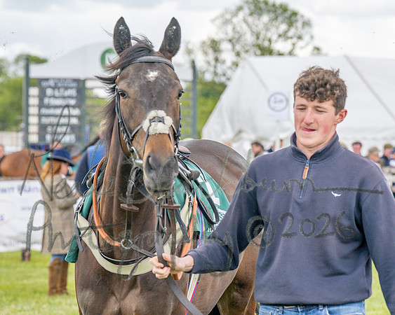 Race 2 - Maiden (27 of 118)