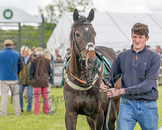 Race 2 - Maiden (25 of 118)
