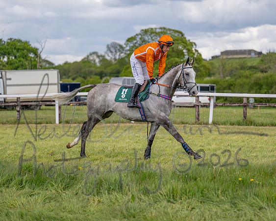 Race 2 - Maiden (28 of 118)