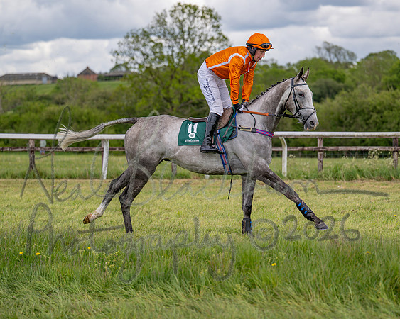 Race 2 - Maiden (29 of 118)