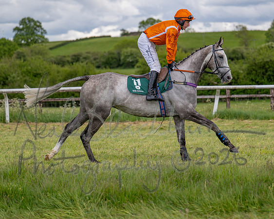 Race 2 - Maiden (30 of 118)