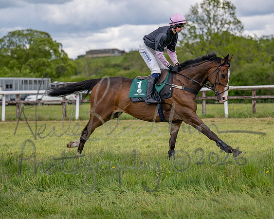 Race 2 - Maiden (31 of 118)