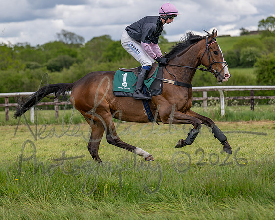 Race 2 - Maiden (32 of 118)