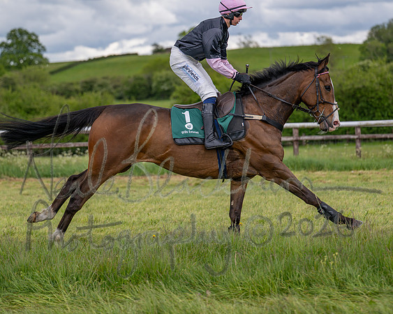 Race 2 - Maiden (33 of 118)