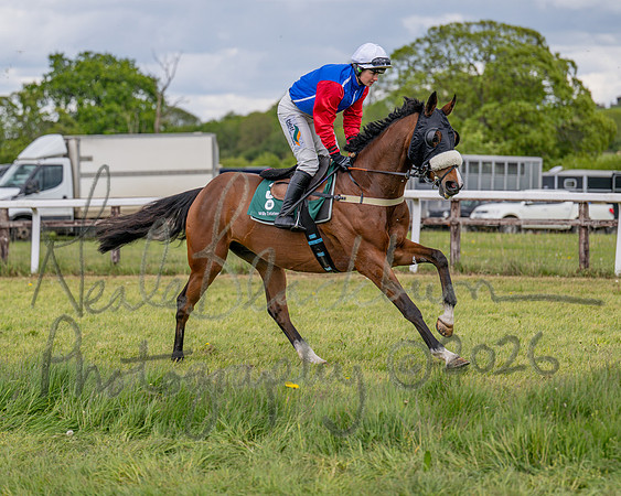Race 2 - Maiden (34 of 118)