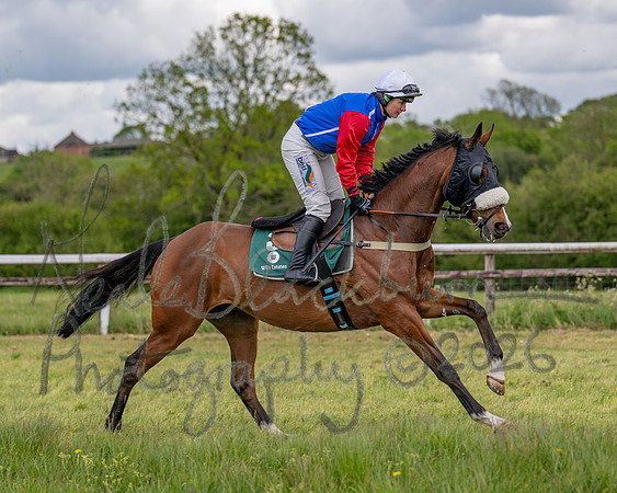 Race 2 - Maiden (35 of 118)