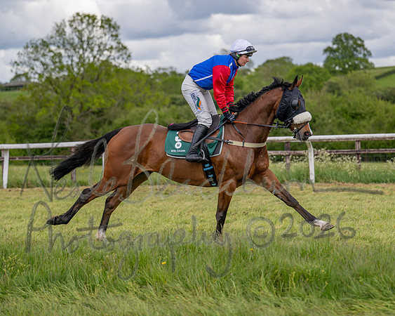Race 2 - Maiden (36 of 118)