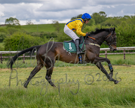 Race 2 - Maiden (37 of 118)