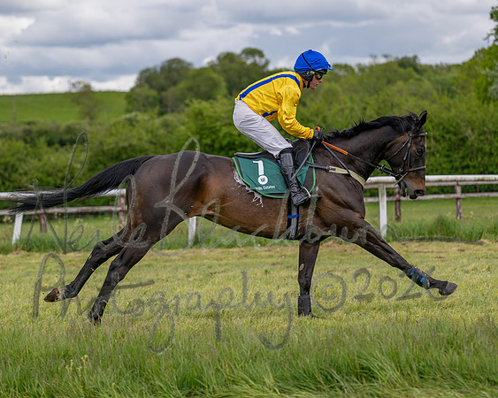 Race 2 - Maiden (38 of 118)