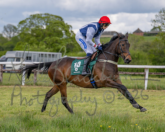 Race 2 - Maiden (39 of 118)