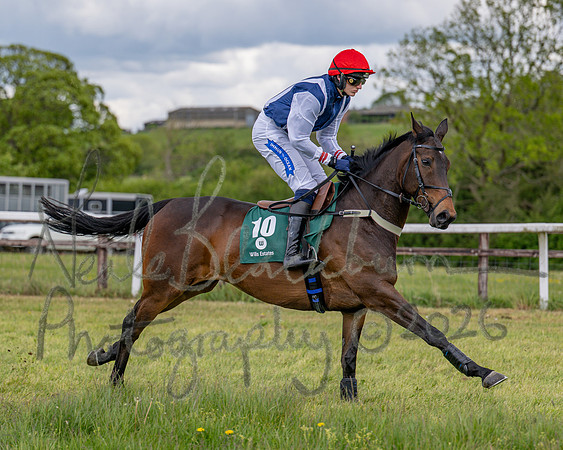 Race 2 - Maiden (40 of 118)