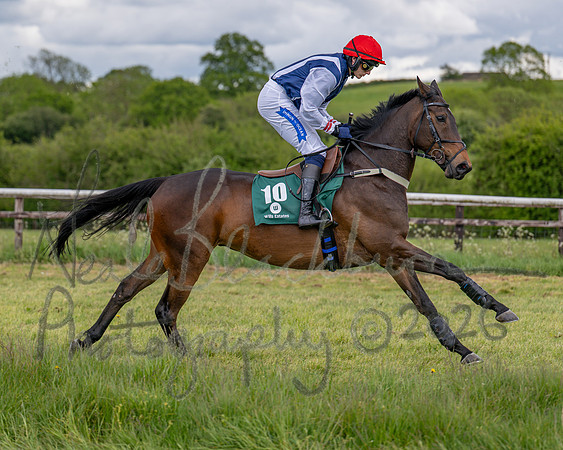 Race 2 - Maiden (41 of 118)