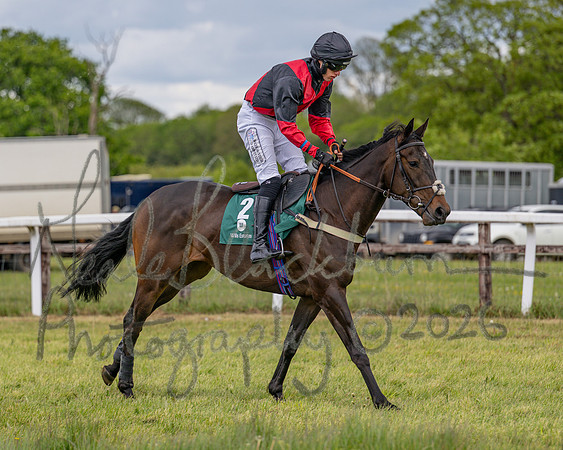 Race 2 - Maiden (43 of 118)
