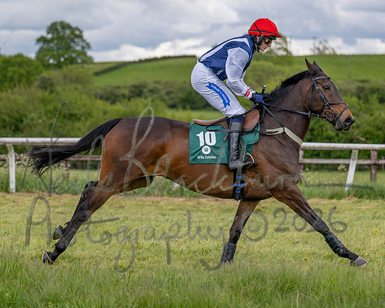 Race 2 - Maiden (42 of 118)