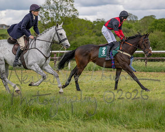 Race 2 - Maiden (44 of 118)