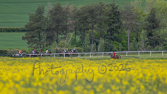 Race 2 - Maiden (47 of 118)