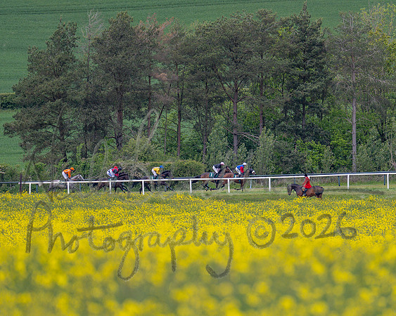Race 2 - Maiden (49 of 118)