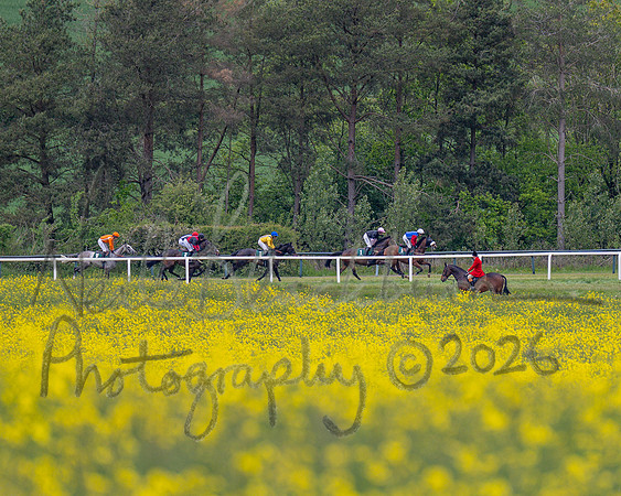 Race 2 - Maiden (50 of 118)