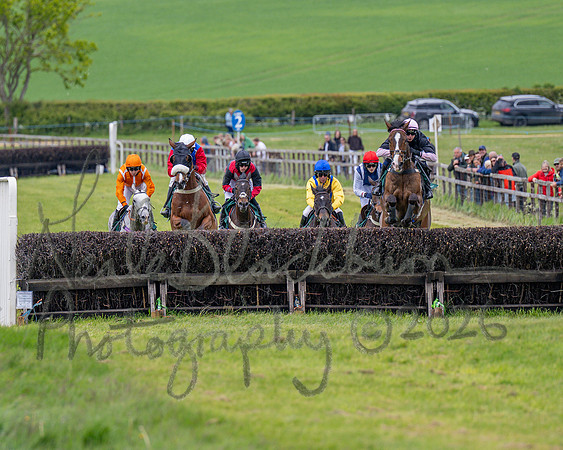 Race 2 - Maiden (52 of 118)