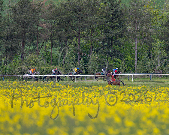Race 2 - Maiden (51 of 118)
