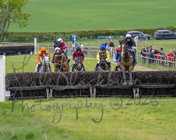 Race 2 - Maiden (53 of 118)