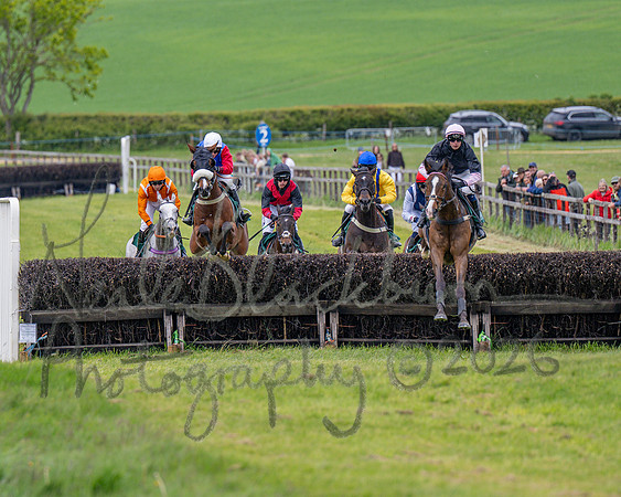 Race 2 - Maiden (54 of 118)