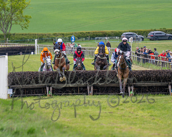 Race 2 - Maiden (55 of 118)