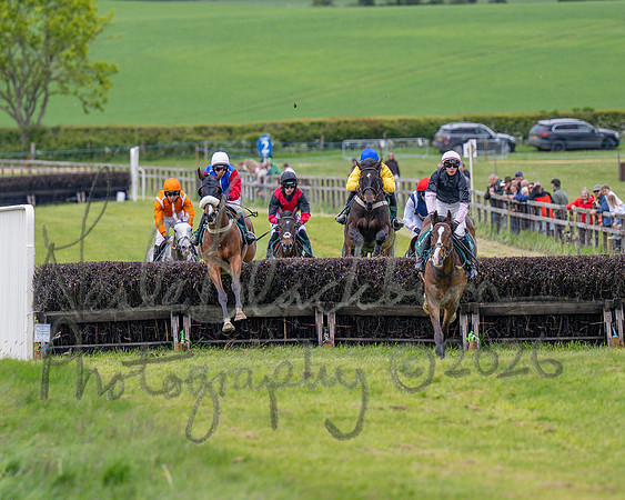 Race 2 - Maiden (56 of 118)