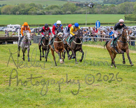 Race 2 - Maiden (59 of 118)