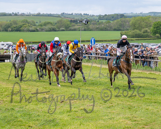 Race 2 - Maiden (60 of 118)