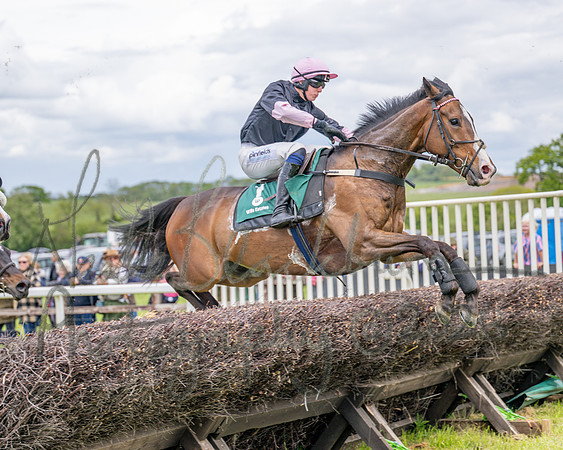 Race 2 - Maiden (61 of 118)