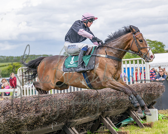 Race 2 - Maiden (62 of 118)