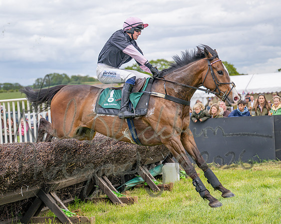 Race 2 - Maiden (63 of 118)