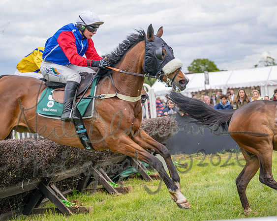 Race 2 - Maiden (64 of 118)