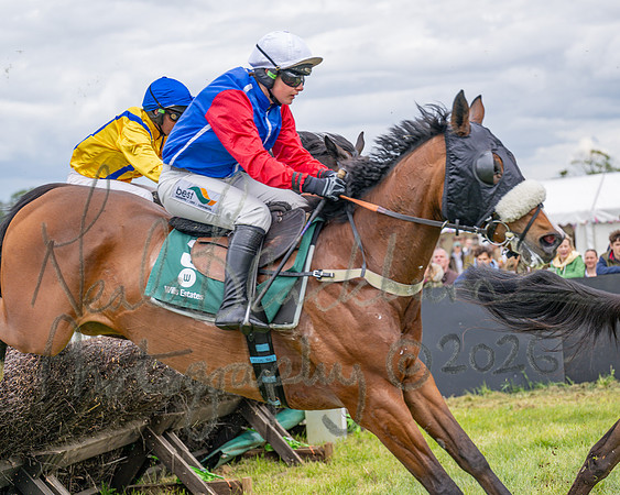 Race 2 - Maiden (65 of 118)