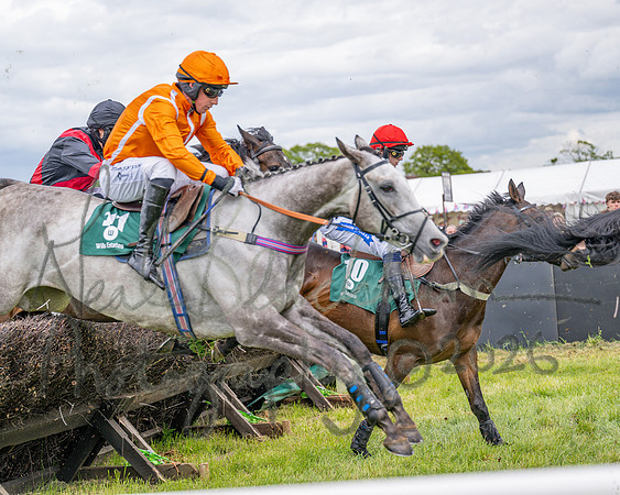 Race 2 - Maiden (66 of 118)