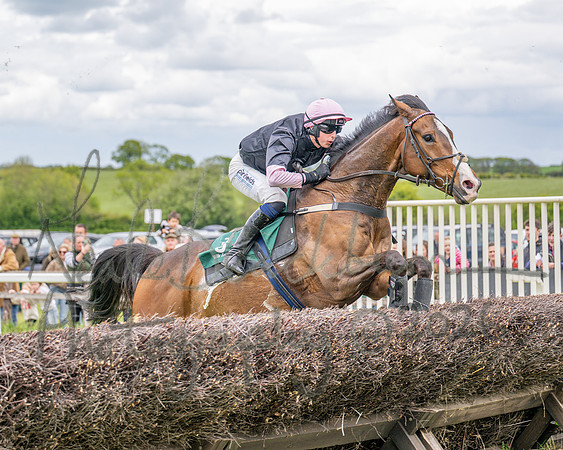 Race 2 - Maiden (67 of 118)