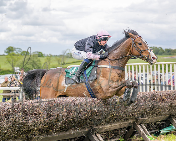 Race 2 - Maiden (68 of 118)