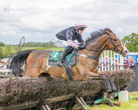 Race 2 - Maiden (69 of 118)