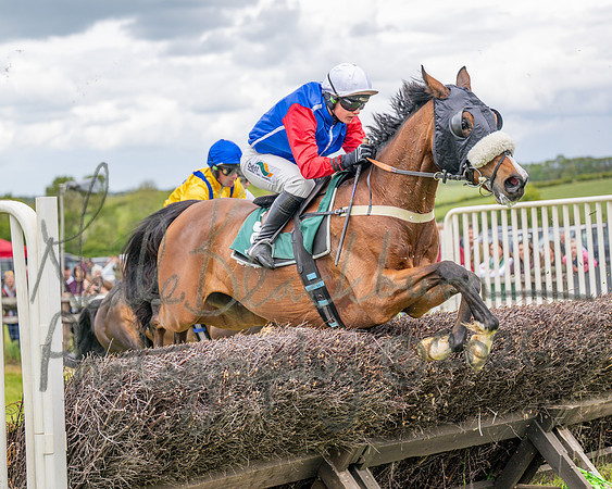 Race 2 - Maiden (70 of 118)